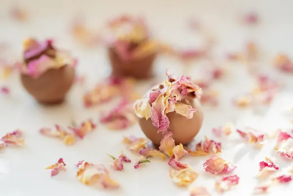 Bet24star Casino App Android/iOS